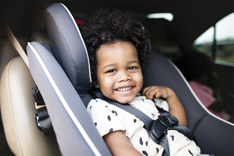 Young Child in a Car Seat