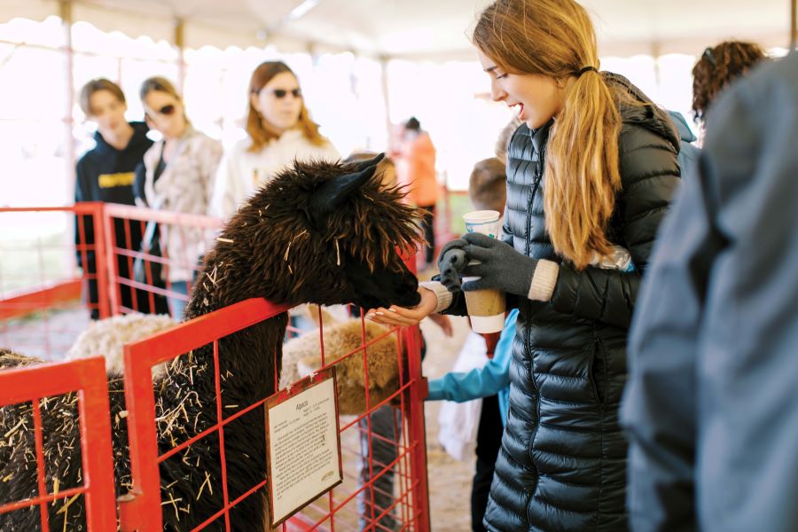 Winter Fete  City of Bloomington MN