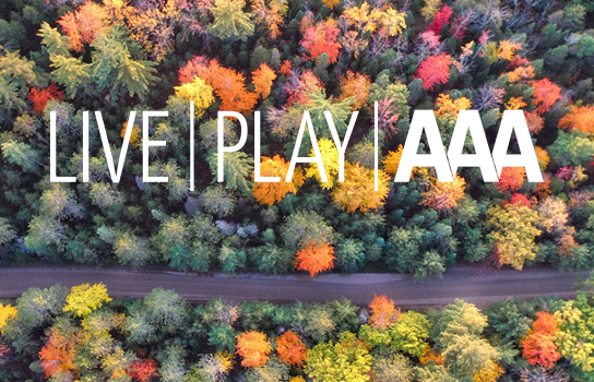 LIVE PLAY AAA Articles and Insights | AAA Minneapolis