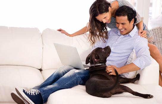 Pet Insurance & Prescriptions from AAA Minneapolis Insurance Agency in MN