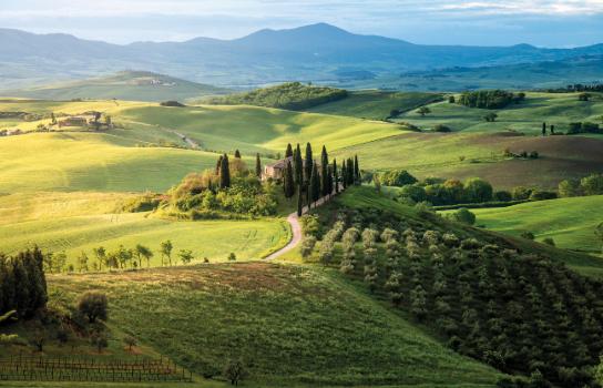 Country roads of Italy fields