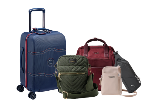 Travel Luggage and Accessory Organizers