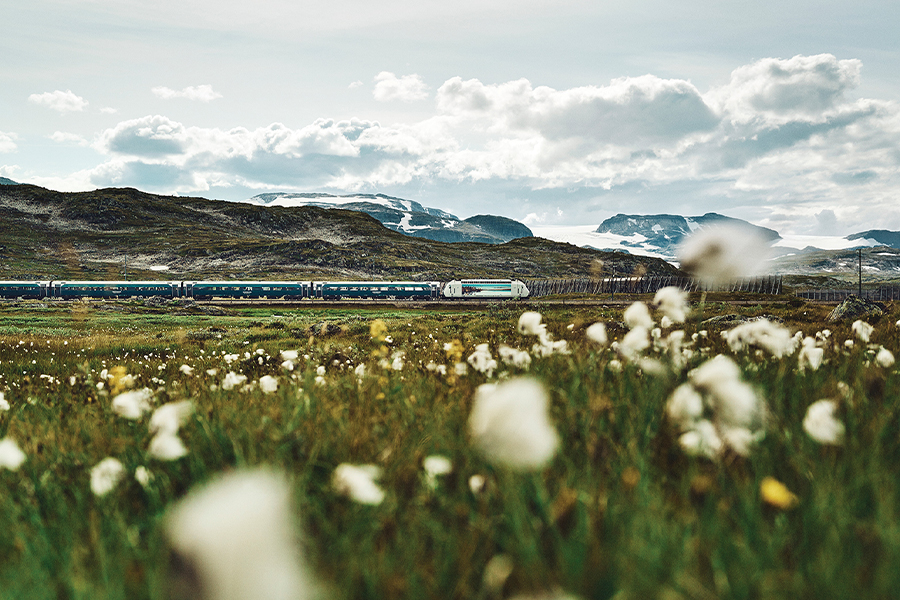 Rail Train in Norway